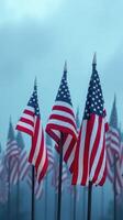 American flags wave gently under cloudy skies at a memorial site during the early morning hours photo