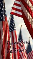American flags wave proudly at a veterans tribute event held on a sunny day in a public park photo