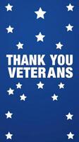 Stars and stripes background with bold thank you veterans message presented prominently for celebrations of service photo