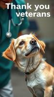 Pet appreciation event honoring veterans with a rescue dog in a veterinary clinic photo