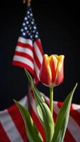 Vibrant tulip in front of an American flag displayed on a dark background during a patriotic celebration photo