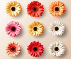 Colorful collection of gerbera daisies arranged in a grid pattern showcasing various shades and vibrant blossoms photo