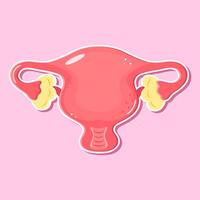 Uterus illustration with ovaries on pink background sticker vector