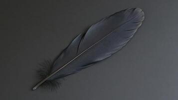 Elegant black feather resting on a dark surface showcasing its delicate structure and fine details photo