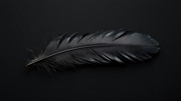 Long black feather resting on a dark surface showcasing intricate details and textures photo