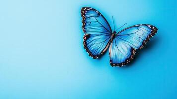Vibrant blue butterfly gracefully resting on a serene blue background creates a stunning visual contrast photo