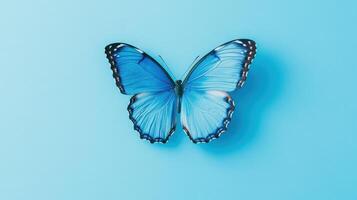 Bright blue butterfly rests on a smooth light blue background showcasing its stunning wing patterns in detail photo