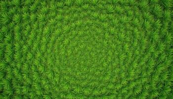 Lush Green Grass Field with Circular Pattern photo