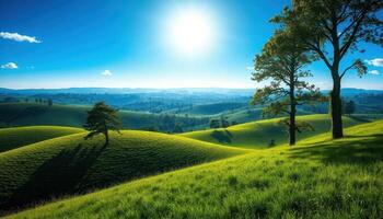 Serene Rolling Green Hills Under Bright Sunny Sky photo