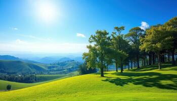 Sunny Day Green Rolling Hills Landscape With Trees photo