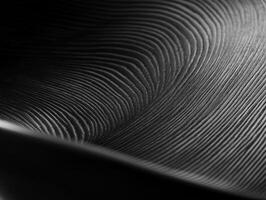 Wood Texture Abstract. photo