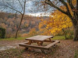 Picnic Table in Autumn Forest. photo