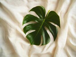 Minimalistic flat lay of a single green monstera leaf on fabric surface for natural decor inspiration photo