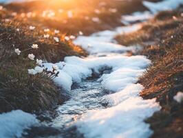 Serene spring thaw with melting snow in tranquil nature setting, perfect for relaxation themes photo