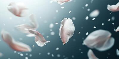 Whimsical sakura petals dancing in motion for a tranquil spring design photo