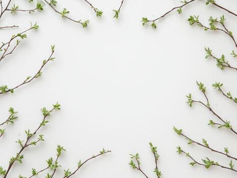 suave y minimalista plano laico de en ciernes ramas para primavera diseño foto