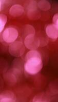 red background bokeh video