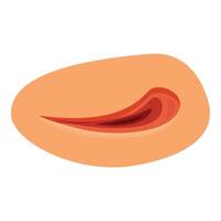 Closed eye showing slightly open eyelid illustrating eye movement during sleep vector