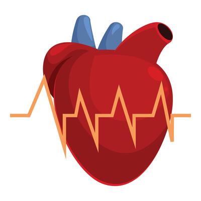 Healthy heart beating with pulse trace showing good health and wellness