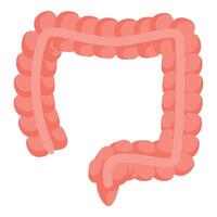 Large intestine showing appendix representing digestive system and healthcare vector