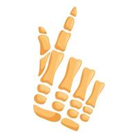 Skeleton hand pointing with index finger upwards vector