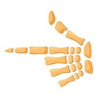 Skeleton bone hand pointing finger to the left side vector