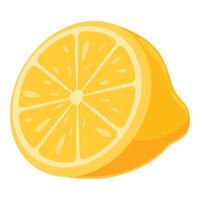 Half lemon showing its fresh and juicy pulp vector