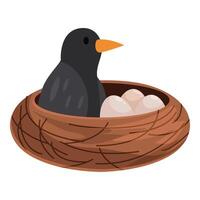 Bird sitting on eggs in nest, parenting and nature vector