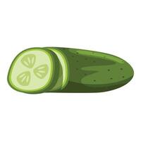 Fresh cucumber lying with slices showing its green inside part vector