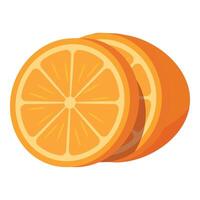 Two sliced oranges showing the pulp and segments vector
