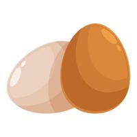 Two chicken eggs resting on white background vector