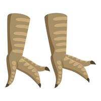 Pair of falcon legs showing sharp claws and striped feathers vector