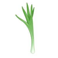 Green leaves onion in flat design. Fresh scallion, vegetable for cooking. illustration isolated. vector
