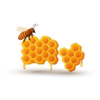Bee with honey comb in flat design. Honeycomb and insect, apiculture product. illustration isolated. vector