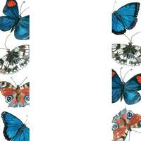 Frame of bright, colorful butterflies hand-drawn in watercolor and isolated on a white background. Watercolor illustration. Suitable for printing on invitations, postcards, for printing on textiles vector