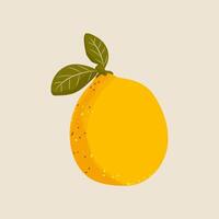 Lemon with a leaf in a flat style. vector
