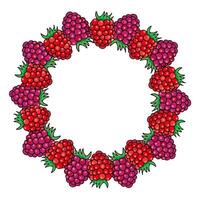 round frame made of colored drawings of raspberries and blackberries, hand drawn in cartoon style. vector