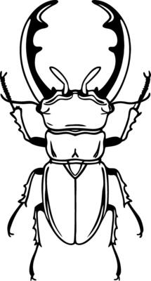 Stag Beetle Outline Illustration Perfect for Tattoos and Design Projects