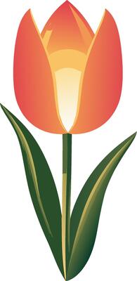 Vibrant Tulip Flower Art for Spring Design and Greeting Cards