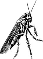 Detailed Grasshopper Illustration for Nature Art and Design Projects vector