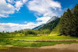 Panoramic shot of the mountain range and the meadow photo