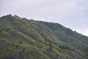 Lush green mountain landscape with rolling hills and forested ridge under overcast sky. photo
