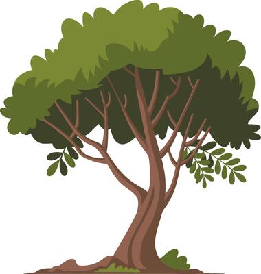 Green Tree Illustration for Nature Design Projects and Educational Materials