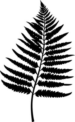 Fern Leaf Silhouette Illustration for Nature Designs and Art Projects