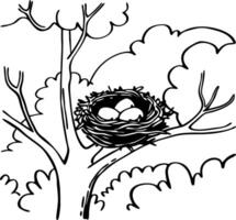 Bird Nest with Eggs on Tree Branch Line Art for Nature Illustrations vector