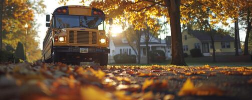 Yellow school bus parked on a suburban street during autumn, with fallen leaves covering the ground and warm sunlight streaming through the trees photo