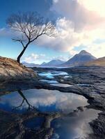 Solitary tree reflecting in calm water with mountains in the background photo