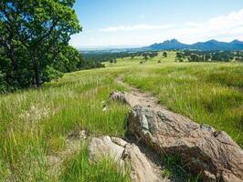 A grassy path winds through a field towards distant mountains photo