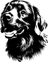 Detailed Golden Retriever Dog Outline for Art and Design Projects vector