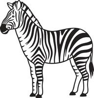 Striking Zebra Illustration for Art and Design Projects vector